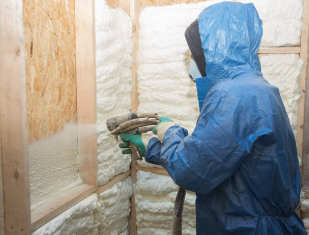 Best Vapor Barrier Installation  in Fremont, OH